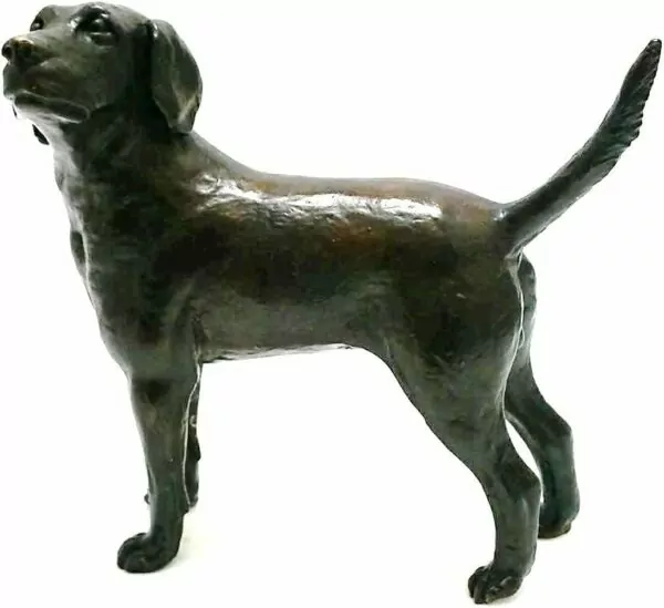 UniqueBronze Hot cast solid bronze sculpture chocolate Labrador by Muhmood Tahir Limited edition